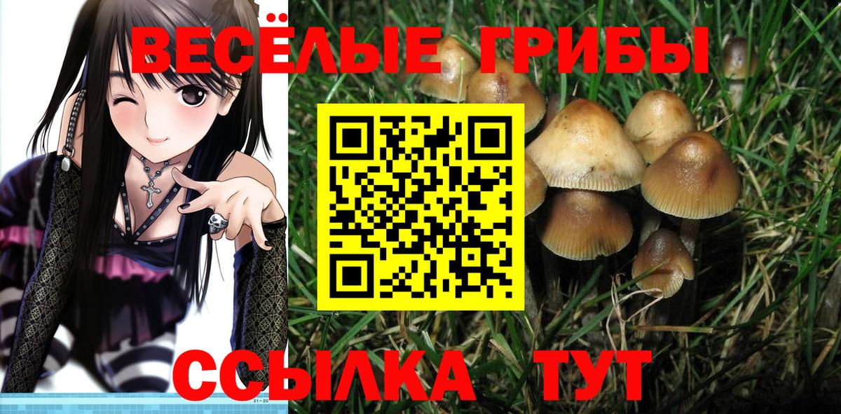 Кстово  Галлюциногенные грибы мицелий  закладка  Галлюциногенные грибы мицелий  Вход с VPN 